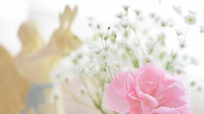 奥平亜美衣「コロナ禍での〈引き寄せの法則〉。自分をアップデートできるかが鍵」