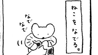「火曜日のくま子さん」猫はコミュニケーションのプロ