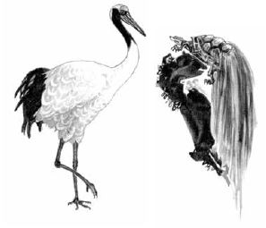 画像 写真 浦島太郎には続きがあった 老人になったあとはツルへの変身 鶴は千年 亀は万年の理由は ツルは縁起が良いから 実際の寿命は年から30年 生き物が老いるということ 第1回 教養 婦人公論 Jp