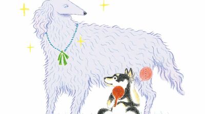 阿川佐和子「揺れる女」