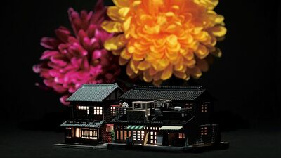 田中達也「〈花火ボンボンボーン盆〉お盆と花火の音をかけて。暗闇に置かれた菊の花は、まるで夜空に咲く大輪の花火」