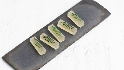 【京の菓子】小粒でもピリリ、山椒の若芽がのった名菓 ~霜月「木ノ芽琥珀」