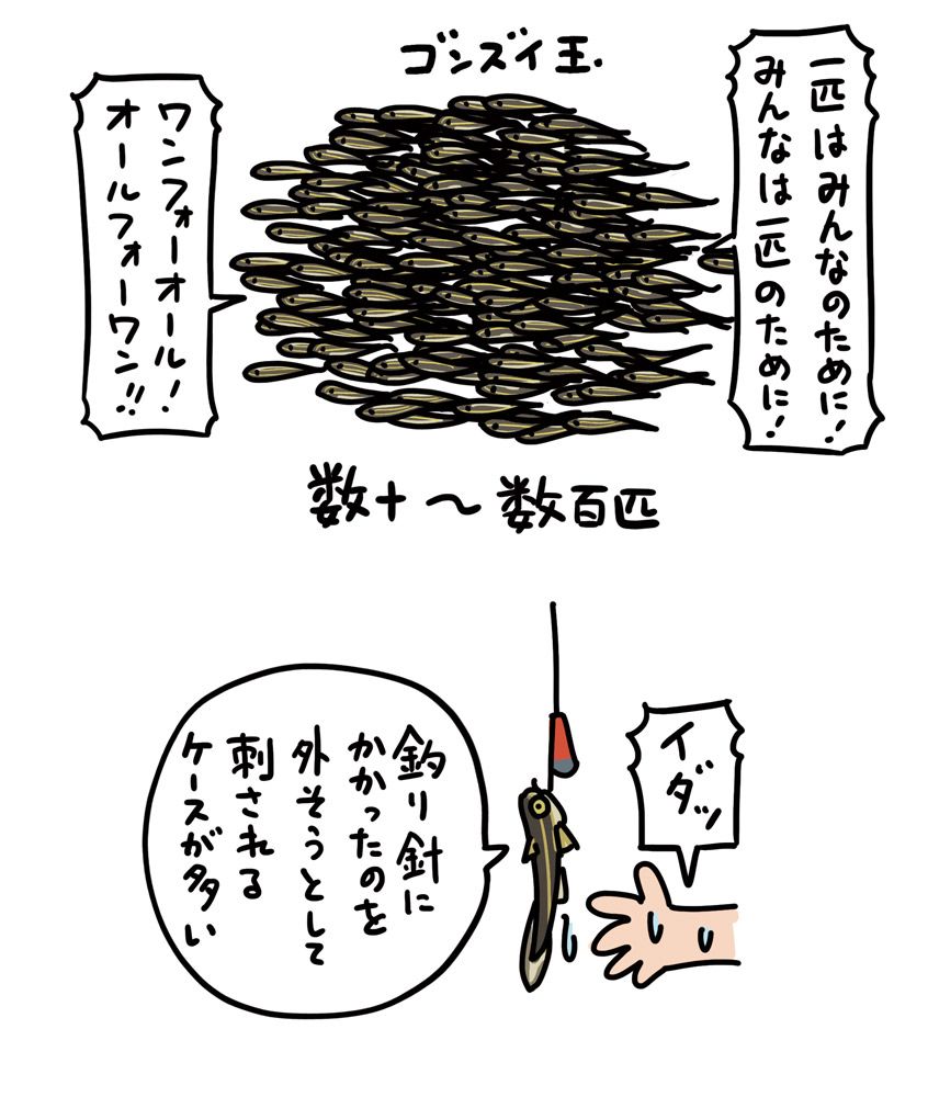 画像 写真 さわるな危険 泳ぎ回る毒トゲ軍団 ゴンズイ 1匹で大人7人倒せる毒をもつ 見た目はかわいい ヒョウモンダコ 夏の海辺で要注意の生きものたち すごい毒の生きもの図鑑 教養 婦人公論 Jp