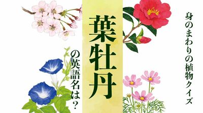 【葉牡丹】英語で言うと?〈身のまわりの植物クイズに挑戦!〉