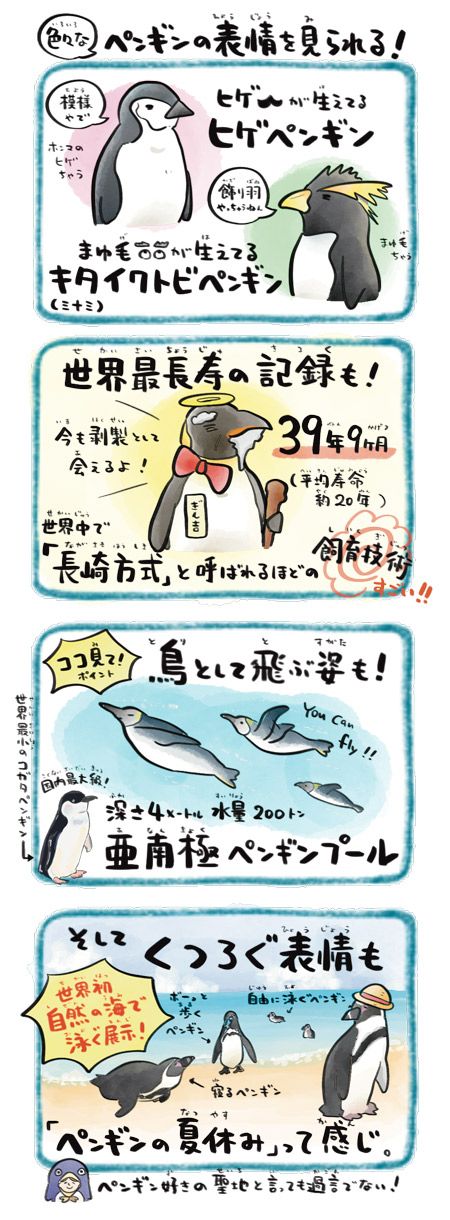 2ページ目 ギネス級のラインアップ 地球にいるペンギンの半分に会える 長崎ペンギン水族館 世界初の海で泳ぐ展示 ビーチでくつろぐ姿に癒される 世界初 マグロの展示を行った東京 葛西臨海水族園 全国クセすご水族館図鑑 教養 婦人公論 Jp