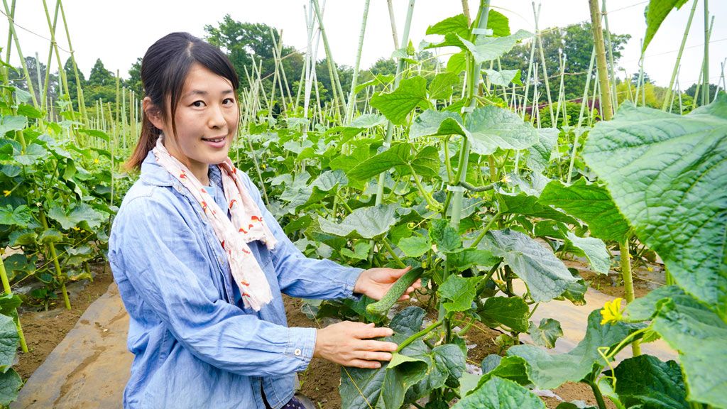 露地栽培にこだわり、先祖代々の農地を守りたい〜「やすだ農園」安田加奈子さん〈家業を継ぐ・3〉