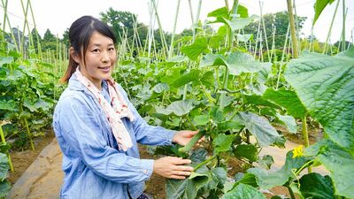 露地栽培にこだわり、先祖代々の農地を守りたい〜「やすだ農園」安田加奈子さん〈家業を継ぐ・3〉