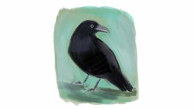【不思議体験】怒鳴る夫のストレスで重度のメニエール病に。台所で倒れた私を、1羽のカラスが見つめている…