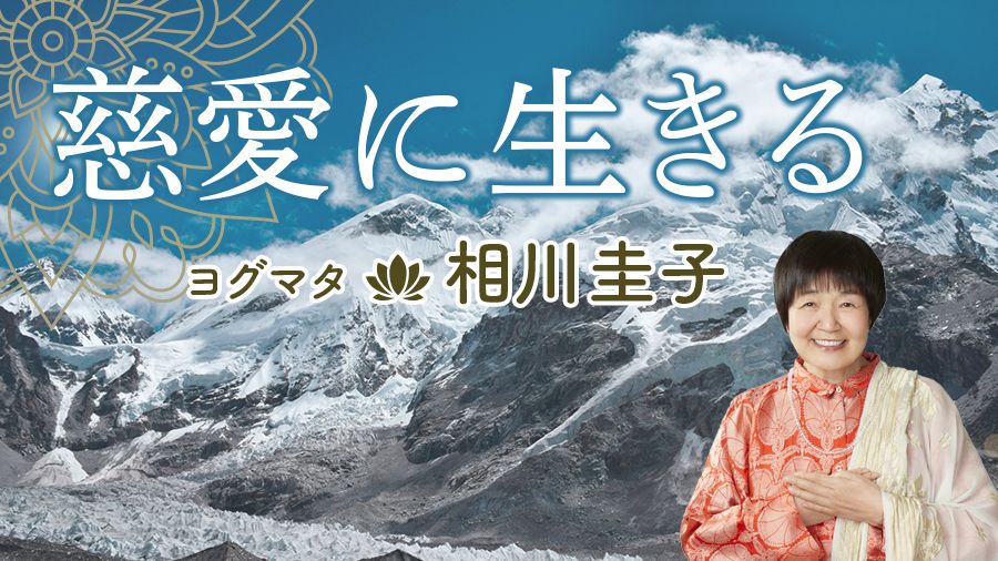 相川圭子の健康ソフトヨガ : 新考案のプラナディで体の硬い人も