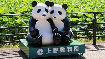 2008年、上野からパンダがいなくなった日。カンカン・ランランからリンリンまで、パンダは日中関係でどんな政治的役割を担ってきたのか